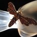 SALE Victorian Bohemian Garnet Insect Brooch