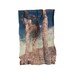 Yuccas 2, Polaroid Emulsion Lift Reprint, 5x7