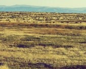 On The Range - 8 x 10 Fine Art Photograph
