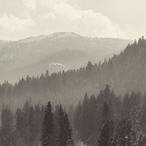Dreamy Black & White Hills - 5 x 5 Fine Art Photograph - grey gray unisex mountain forest hill landscape home decor print