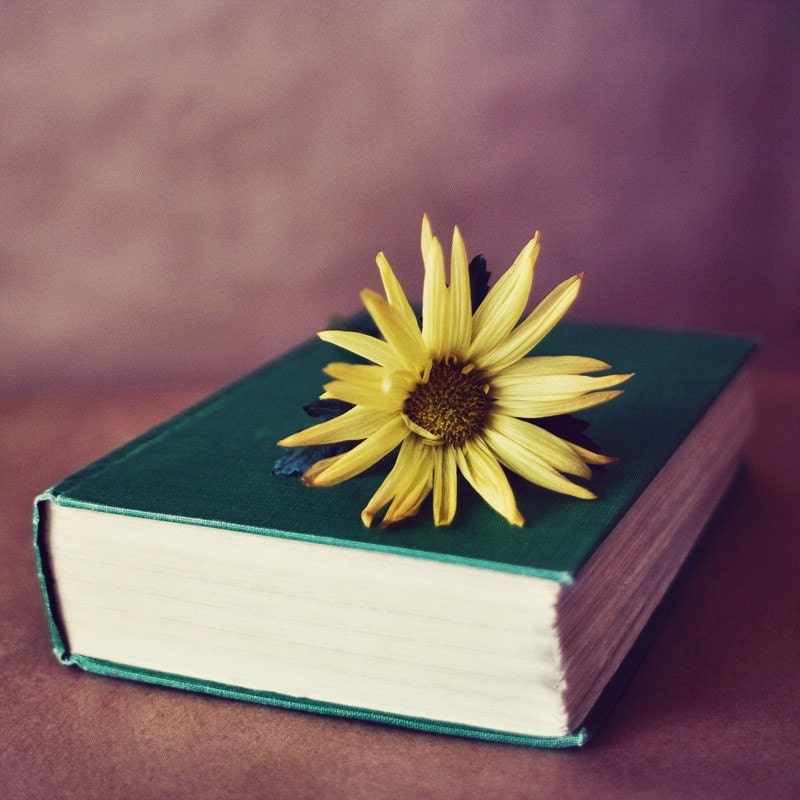 Yellow II - 8 x 8 Fine Art Photograph - nostalgic vintage style yellow green flower book home decor print
