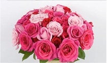 12 Light Pink / Medium Pink Roses - Vase or Box Arrangement