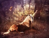 Unicorn Illustration 11.5 X 16 inch Art Print