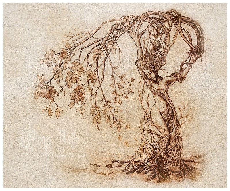 Hedgewitch, 8 x 10 inch Dryad Illustration Art Print