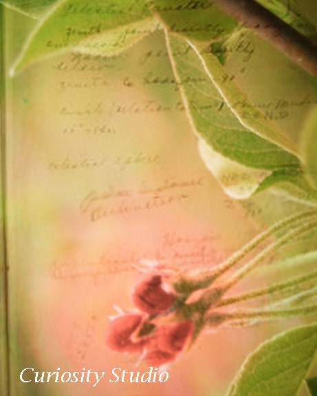 A SIMPLE NOTE Fine Art Photography Print