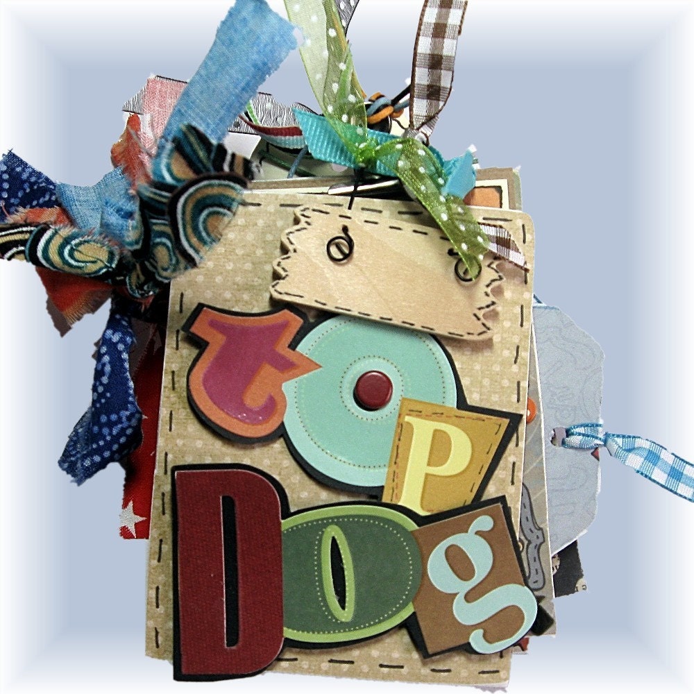 Cool, Funky, Boy Album, Premade mini Tagbook, rough, and tough