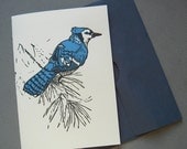 Blue Jay Handprinted Letterpress Card and envelope
