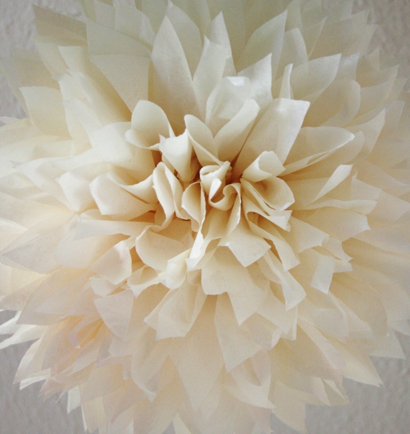 French Vanilla Tissue Paper Pom .. Wedding Decoration / Anniversary / Birthday / Party Decoration