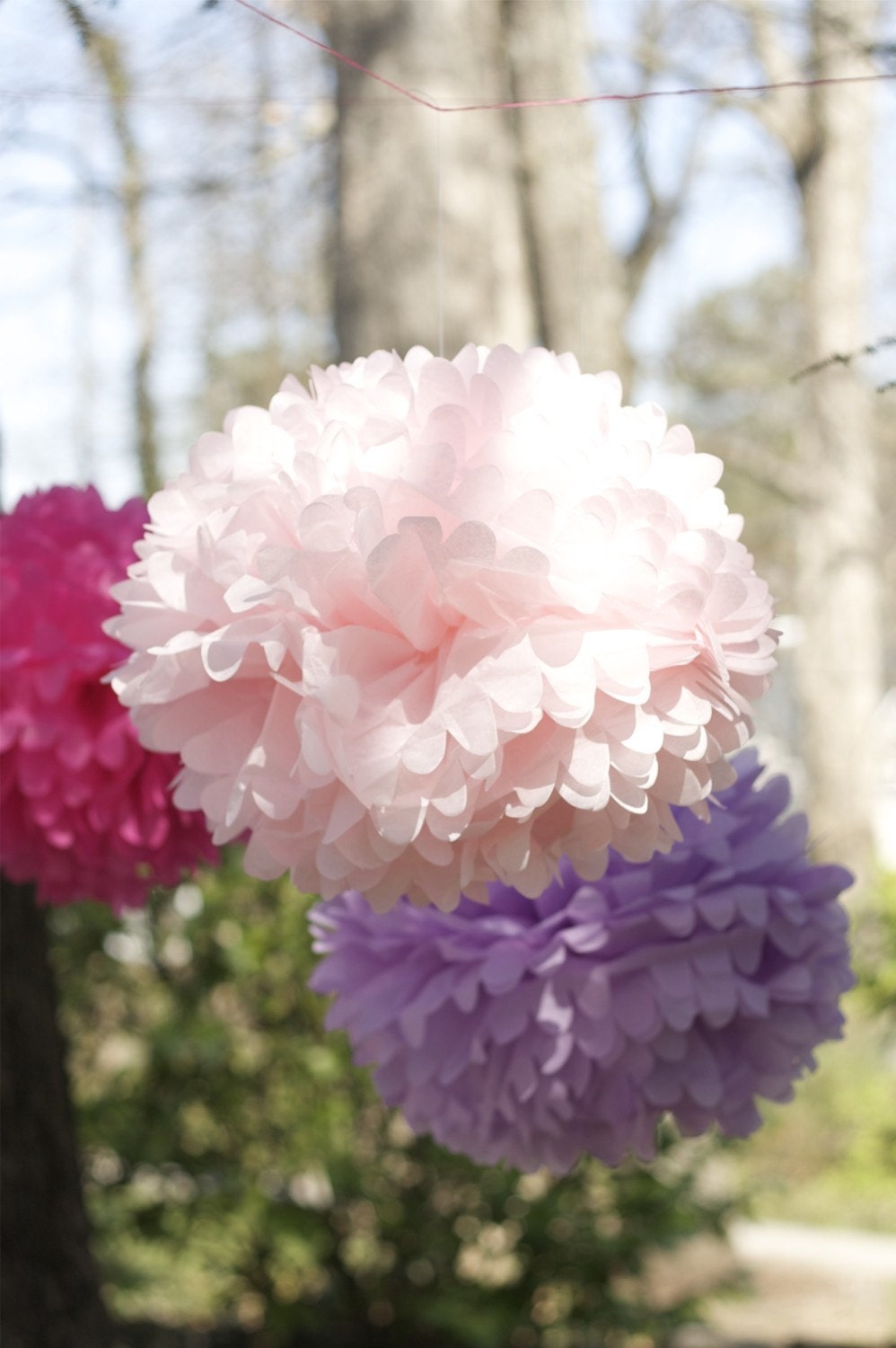 30 poms - choose your colors