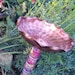 Recycled Upcycled Birdbath Birdfeeder Copper Pink Blue Garden Stake Outdoor Summer