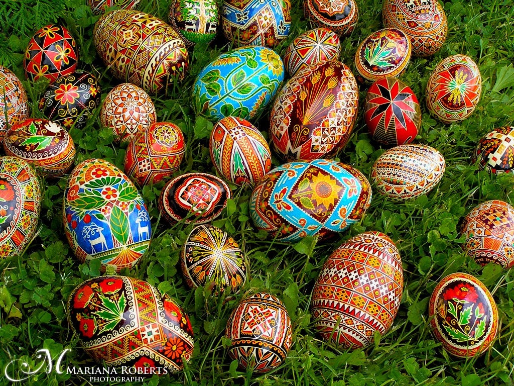Real Traditional Ukrainian Easter Egg - Hand Illustrated Poppy Pysanka - Goose Egg - Help Rescue Animals - S.A.F.E
