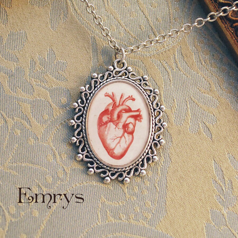 Anatomy Drawings Heart