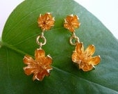 Golden Seed Pod Earrings