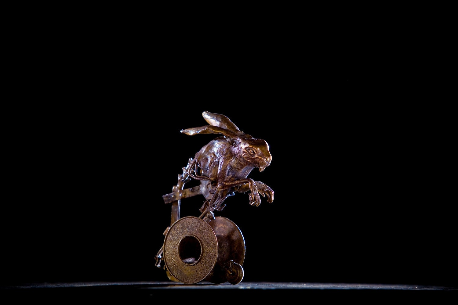 Rabbit