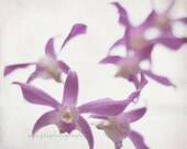 Floating Orchids - Orchid pink autumn flower decoration autumn is coming spring colors pinky girly nursery gift flowers Fine Art Print 8x8