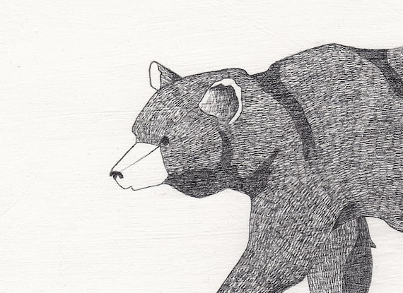 Sketched Bear Pencil Drawing - 6x8 original artwork on wood panel