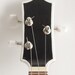 Mini Les Paul style gold top acoustic/electric 3 string guitar