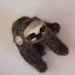 Mojave the Pocket Sloth