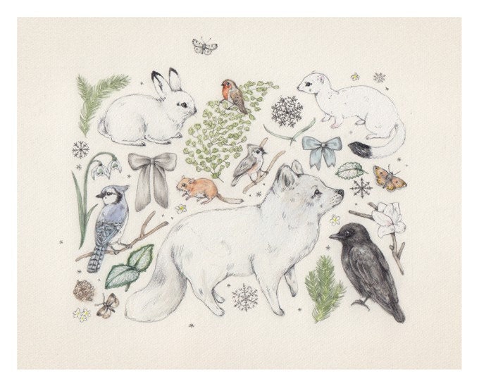 Fox and Fir
