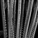 Black and White Photography Botanical Abstract Art Plant curling leaves Abstract Nature Photograph 5x7
