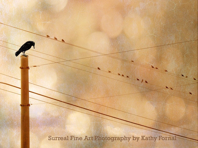 Birds Photography - Dreamy Birds Powerline Surreal Art, Nature, Raven, Crows, Bird, Yellow, Gold, Bokeh, Fine Art Nature Photograph 5" x 7"