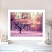 Nature Photography, Dreamy Spring Woodlands Landscape, Pink, Purple, Orange, Fine Art Fantasy Tree Nature Photo 9" x 12"