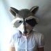 Captain Cat Original Raccoon Mask