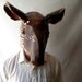 Original Captain Cat Tapir Mask