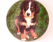 Dog magnet - Free shipping - REDUCED