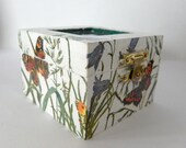 Butterflies mini shadow box