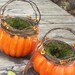 Orange Pumpkin Basket