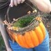 Orange Pumpkin Basket