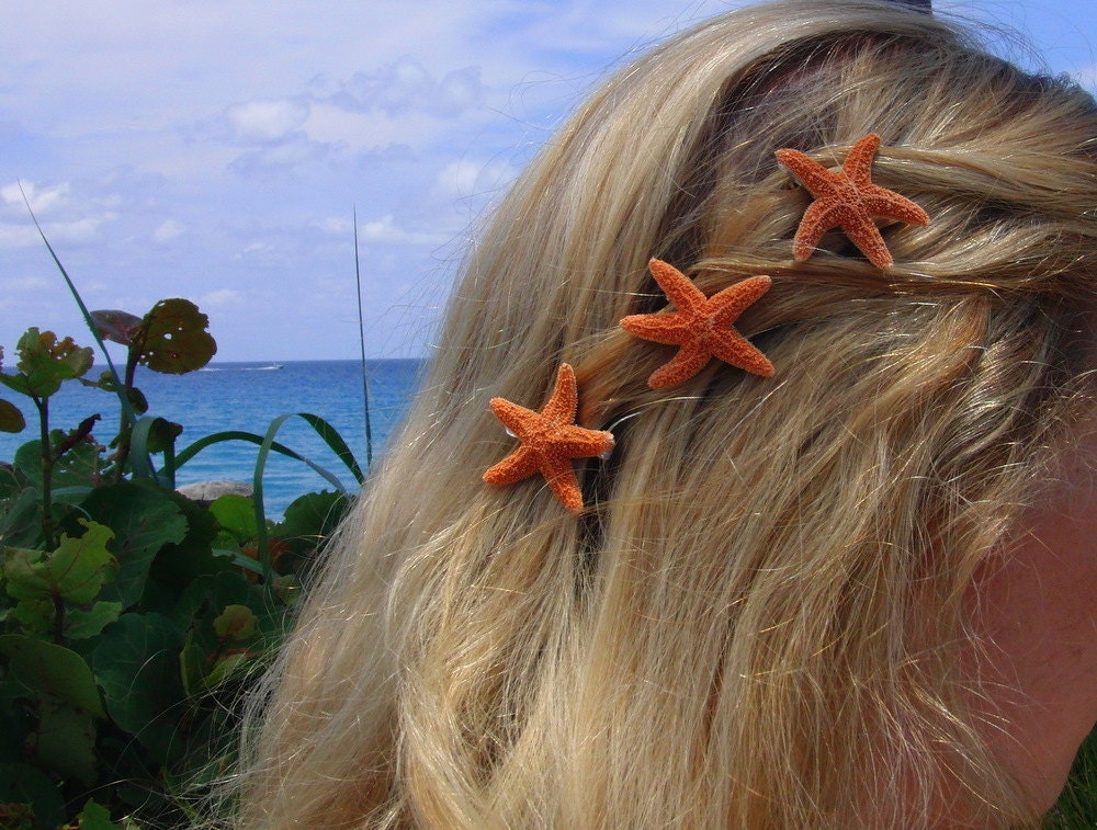 Set of 3 small sugar starfish barrettes