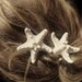 Two small white knobby starfish barrettes.