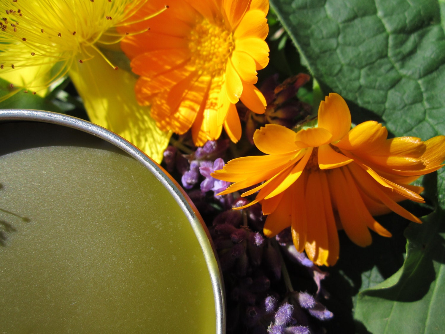Herbal Salve- Magical Healing Salve- with Organic Herbs