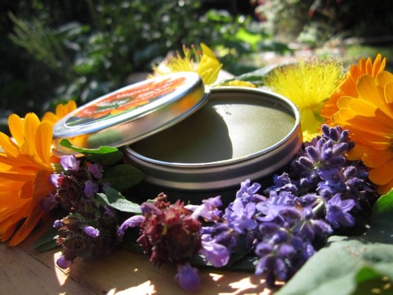 Herbal Salve- Magical Healing Salve- with Organic Herbs