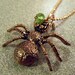 Copper Spider Necklace with a Peridot Gemstone and Copper Ball Chain