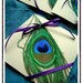 MELODIE Peacock Themed Petit Wedding Programs Deep Purple and Champagne