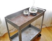 Metal Industrial Rolling Cart