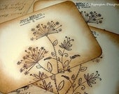 Vintage Floral Postcard Set of 3-Stamped-Double Sided