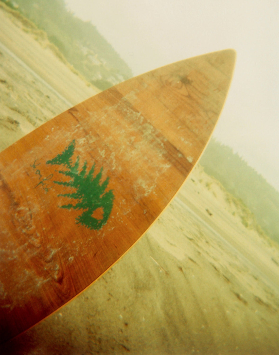 Surfin' - Fine Art Photo on 6x9 Bamboo Panel
