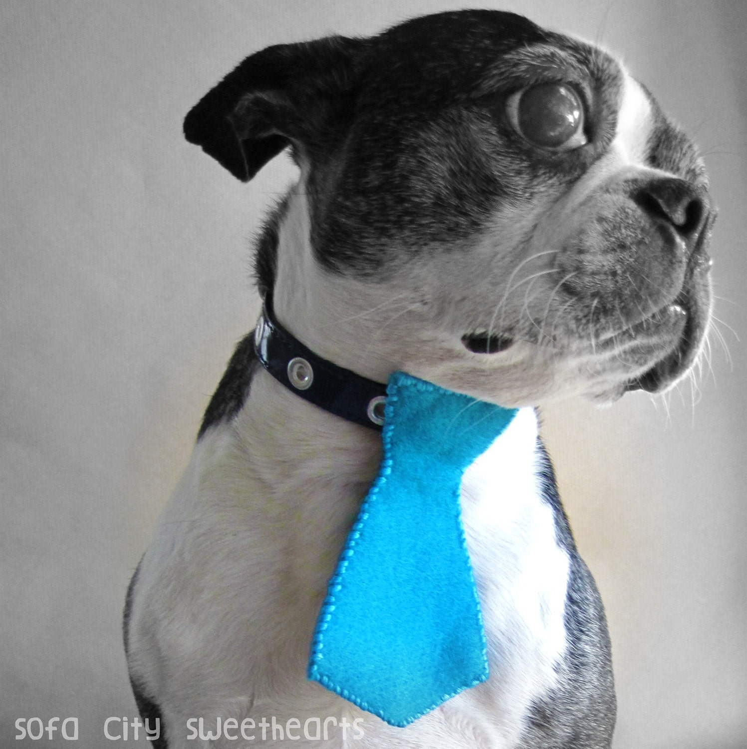 Dog Collar Tie- More Colors Available