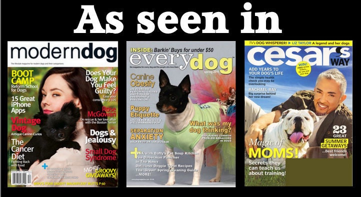 The Original "Hello My Name Is" Silver Pet ID Tag -As Seen In Modern Dog Magazine
