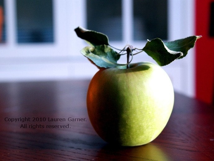 One A Day - Apple Granny Smith Photography Farm Orchard Green Brown White Fine Art Lustre Print - 5x7 Photograph