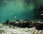 Quantum Light -  underwater fine art photography print 8 x 10