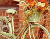 Shabby Chic Photography - Autumn Bicycle Photograph 8x8 - Christmas Holiday Home Decor