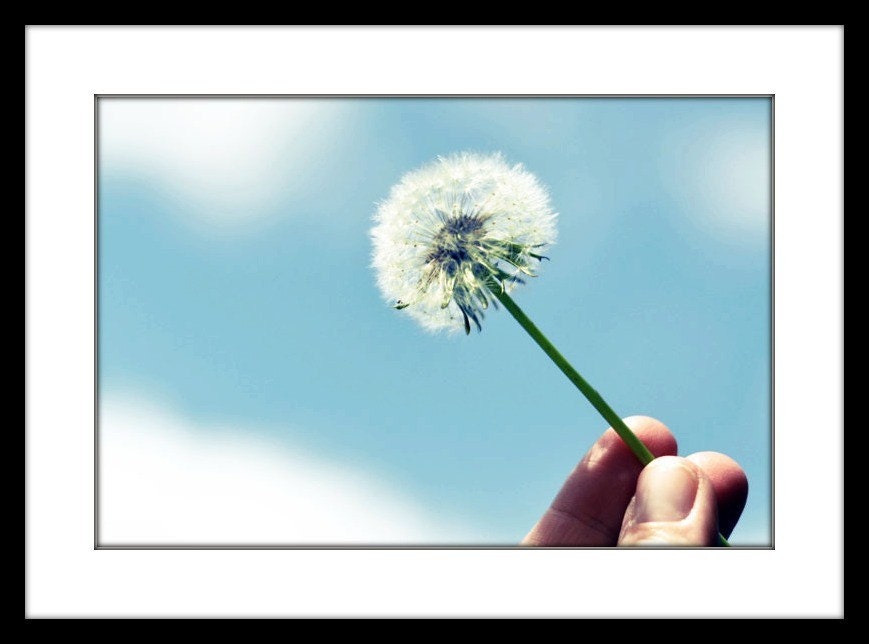 Dandelion Photograph, Make A Wish, 4x6 Print, Nature Photography, Blue Sky, Shabby Chic Decor