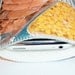 Retro TV Dinner Turkey Corn and Mash Potatoes Gadget Case - iPhone MP3 iTouch Cell Phones