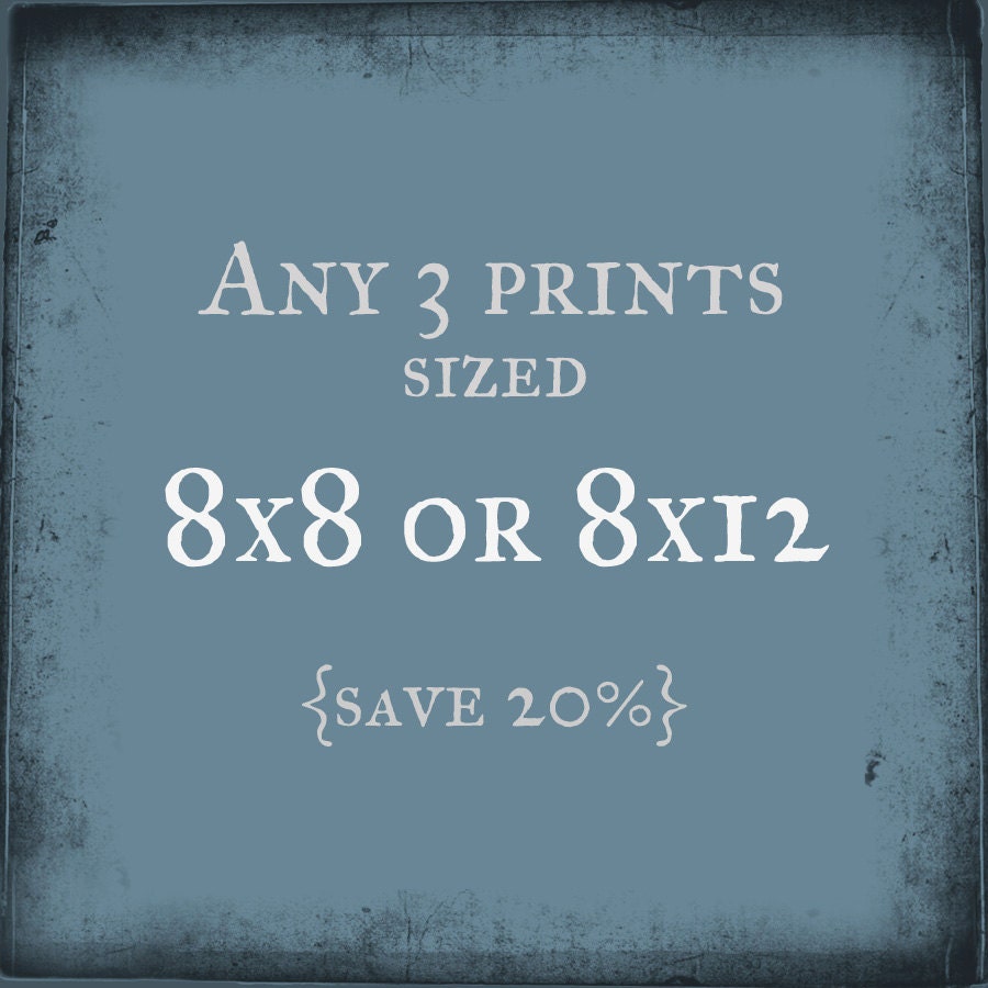 Three 8x8 or 8x12 prints of your choice