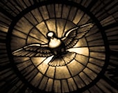 Ready To Ship Photograph of Sepia Toned Stained Glass Dove - 8x12